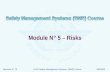 Revision N° 13ICAO Safety Management Systems (SMS) Course06/05/09 Module N° 5 – Risks.