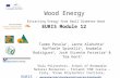 EURIS – Europeans Using Roundwood Innovatively & Sustainably Wood Energy Extracting Energy from Small Diameter Wood EURIS Module 12 Tuomo Pesola 1, Janne.