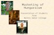 Marketing of Hungaricum Presentation of Students from Dennis Gabor College.