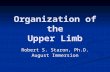 Organization of the Upper Limb Robert S. Staron, Ph.D. August Immersion.