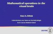 Mathematical operations in the visual brain Guy A. Orban Laboratorium voor Neuro-en Psychofysiologie K.U. Leuven Medical School.