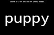 Puppy Sound of y at the end of longer words. very Sound of y at the end of longer words.