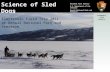 The Science of Denali’s Sled Dogs Kristen Friesen Denali National Park and Preserve Science of Sled Dogs National Park Service U.S. Department of the Interior.
