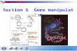 Section G Gene manipulation Molecular Biology Content G1 DNA CLONING: AN OVERVIEW G2 PREPARATION OF PLASMID DNA G3 RESTRICTION ENZYMES AND ELECTROPHORESIS.