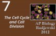 The Cell Cycle and Cell Division 7. Chapter 7 The Cell Cycle and Cell Division Key Concepts 7.2 Binary Fission and Mitosis 7.3 Cell Reproduction Control.