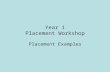 Year 1 Placement Workshop Placement Examples. What type of work can be done? Anything that has some relevance to your degree and is at an appropriate.