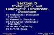 Section D: Chromosome StructureYang Xu, College of Life Sciences Section D Prokaryotic and Eukaryotic Chromosome Structure D1 Prokaryotic Chromosome Structure.