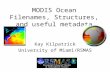 MODIS Ocean Filenames, Structures, and useful metadata Kay Kilpatrick University of Miami/RSMAS.