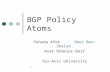 1 BGP Policy Atoms Yehuda Afek Omer Ben-Shalom Anat Bremler-Barr Tel-Aviv University.