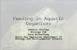 Feeding in Aquatic Organisms Aquatic Biology Biology 450 Dave McShaffrey Harla Ray Eggleston Department of Biology and Environmental Science 12/29/20091.