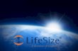 OK Lets do something else 3 ©LifeSize Communications, Inc. - All Rights Reserved Everything you are about to hear is Mostly True.....
