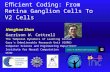 E ﬃ cient Coding: From Retina Ganglion Cells To V2 Cells Honghao Shan Garrison W. Cottrell The Temporal Dynamics of Learning Center Gary's Unbelievable.