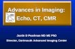 Advances in Imaging: Echo, CT, CMR Justin D Pearlman MD ME PhD Director, Dartmouth Advanced Imaging Center.