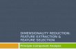 DIMENSIONALITY REDUCTION: FEATURE EXTRACTION & FEATURE SELECTION Principle Component Analysis.