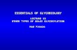 ESSENTIALS OF GLYCOBIOLOGY LECTURE 13 OTHER TYPES OF GOLGI GLYCOSYLATION Hud Freeze.