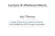 Key Themes Energy acquisition in photosynthesis: from sunlight to ATP & sugar production Lecture 8: Photosynthesis.