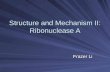 Structure and Mechanism II: Ribonuclease A Frazer Li.
