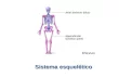 Lesson Overview Lesson Overview The Skeletal System Lesson Overview Lesson Overview The Skeletal System Sistema esquelético.