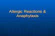 Allergic Reactions & Anaphylaxis. Incidence In USA - 400 to 800 deaths/year In USA - 400 to 800 deaths/year Parenterally administered penicillin accounts.