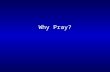 Why Pray?. 1)Because humans seek a spiritual dimension to life! 2) Because God’s people have always wanted to respond to His initiative!