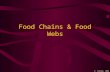 Food Chains & Food Webs D. Crowley, 2008 Food Chains & Food Webs To understand food chains and food webs, and the transfer of energy within these Saturday,