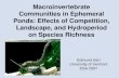 Macroinvertebrate Communities in Ephemeral Ponds: Effects of Competition, Landscape, and Hydroperiod on Species Richness Edmund Hart University of Vermont.