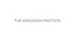 THE KINGDOM PROTISTA. A) SUBKINGDOM PROTOZOA (first animals) - EUKARYOTIC, UNICELLULAR, HETEROTROPHS - PROTOZOA ARE CLASSIFIED BY THEIR METHOD OF MOTILITY.