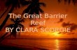 The Great Barrier Reef BY CLARA SCORGIE. The Great Barrier Reef The Great Barrier Reef is famous for it’s beautiful features including: fish, coral, sea.