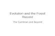 Evolution and the Fossil Record The Cambrian and Beyond.