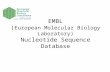 EMBL ( European Molecular Biology Laboratory) Nucleotide Sequence Database.