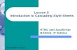 1 Lesson 5 Introduction to Cascading Style Sheets HTML and JavaScript BASICS, 4 th Edition Barksdale / Turner.