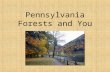 Pennsylvania Forests and You. “Penn’s Woods” Pennsylvania was founded by a Quaker, William Penn. In 1681, Penn’s Woods included more than 28 million acres.