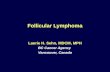 Follicular Lymphoma Laurie H. Sehn, MDCM, MPH BC Cancer Agency Vancouver, Canada.