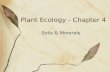 Plant Ecology - Chapter 4 Soils & Minerals. Soil Structure & Texture Soil structure - physical arrangement of soil particles into aggregates Controls.