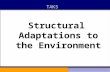 Structural Adaptations to the Environment TAKS. Structural adaptations to the environment Every species is uniquely adapted to its environment This ensures.