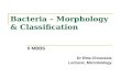 Bacteria – Morphology & Classification II MBBS Dr Ekta Chourasia Lecturer, Microbiology.