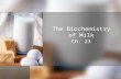 The Biochemistry of Milk Ch. 23. How do you milk a cow? How do you milk a cow? Video Video Video  %20make .