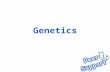 Genetics. Assumed Knowledge The central dogma Basic genetic terminology DNA replication, transcription, translation Chromosome structure Mitosis and Meiosis.