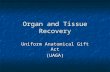 Organ and Tissue Recovery Uniform Anatomical Gift Act (UAGA)