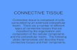 CONNECTIVE TISSUE Connective tissue is composed of cells surrounded by an extensive extracellular matrix. There are a number of different types of connective.