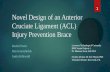 Novel Design of an Anterior Cruciate Ligament (ACL) Injury Prevention Brace Rachel Porter Dan Greenshields Justin Killewald 1 Lawrence Technological University.