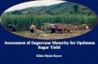 Assessment of Sugarcane Maturity for Optimum Sugar Yield Khin Myint Kywe.