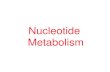 Nucleotide Metabolism. nucleotide nucleoside.