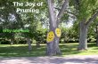 The Joy of Pruning Why and how. The Joy of Pruning Why.