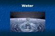 Water. Earth’s Water We live on a planet that is dominated by water. More than 70 % of the Earth's surface is covered with this simple molecule. Scientists.