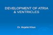 DEVELOPMENT OF ATRIA & VENTRICLES Dr. Mujahid Khan.