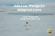 Jean Pennycook penguinscience.com Adelie Penguin Adaptations.