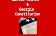 United States & Georgia Constitution Review. According to the Georgia Constitution the state’s voters do what?