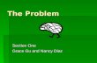 The Problem Section One Grace Gu and Nancy Diaz. About the Author: Susan Blackmore Degree in Psychology and Physiology from Oxford, and a Ph.D. in Parapsychology.