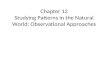 Chapter 12 Studying Patterns in the Natural World: Observational Approaches.